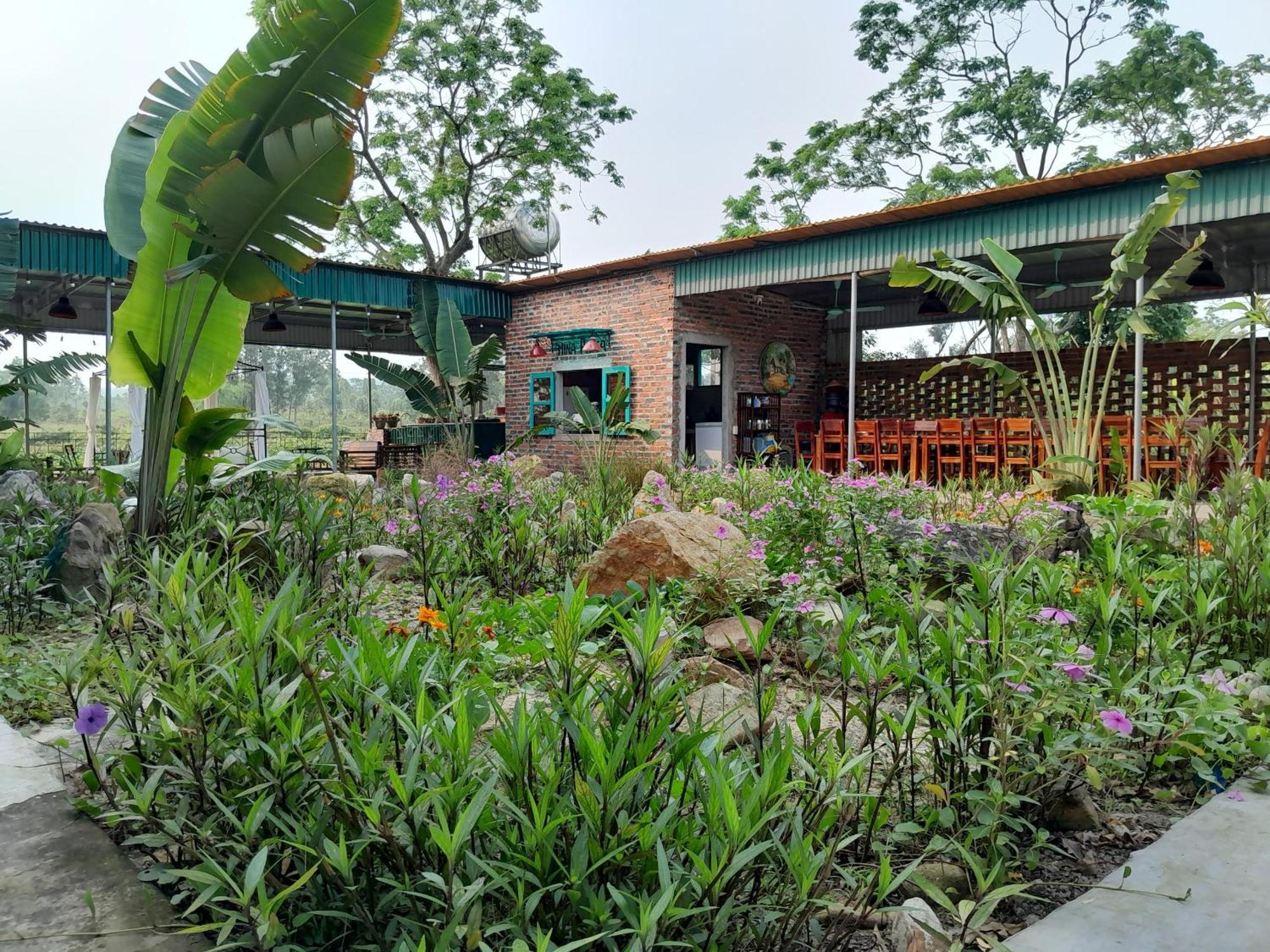 Mina Cafe & Stay Quan Lan Exteriör bild